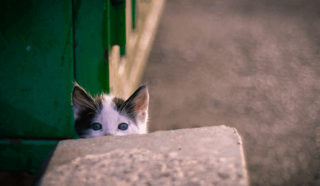 Когда «выпить для храбрости» — не вариант