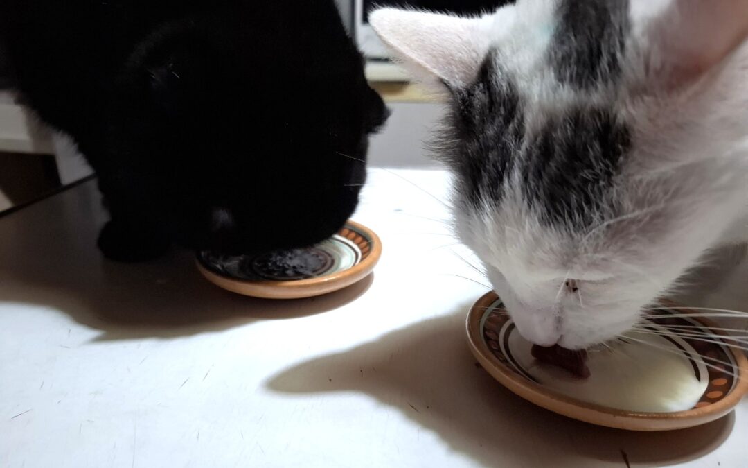 Вечерний йогуртовый вайб