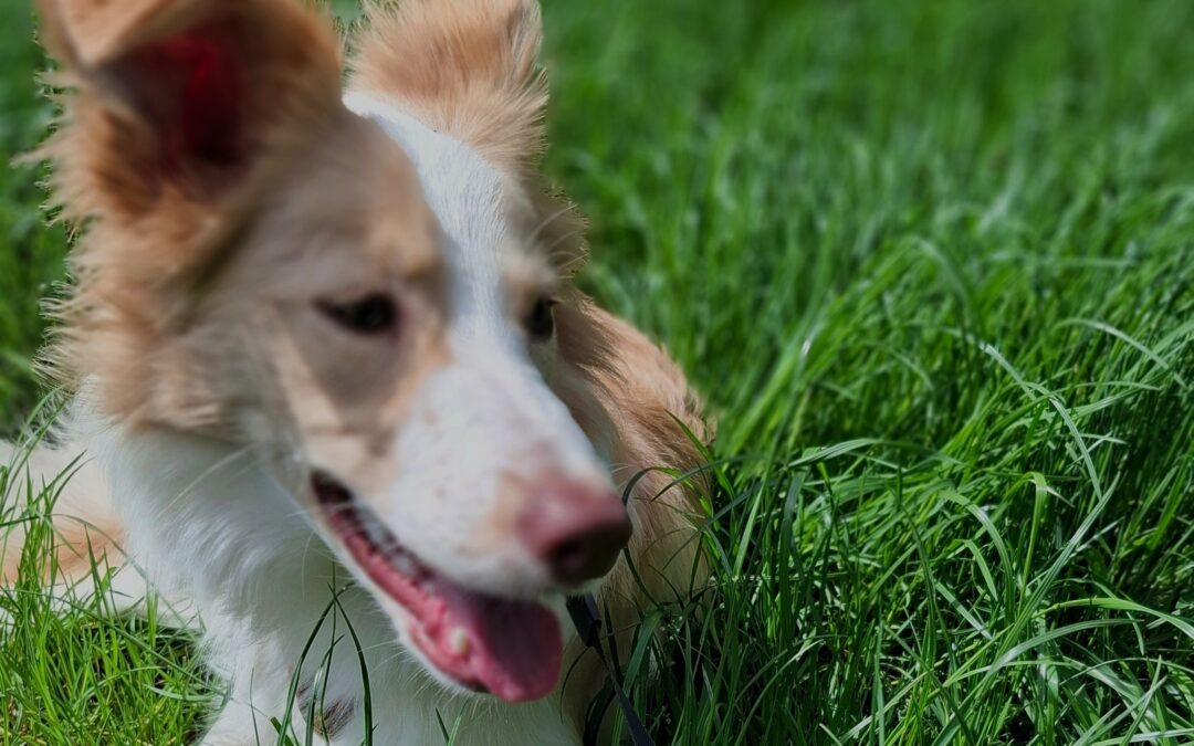 Здесь и сейчас — это не точка