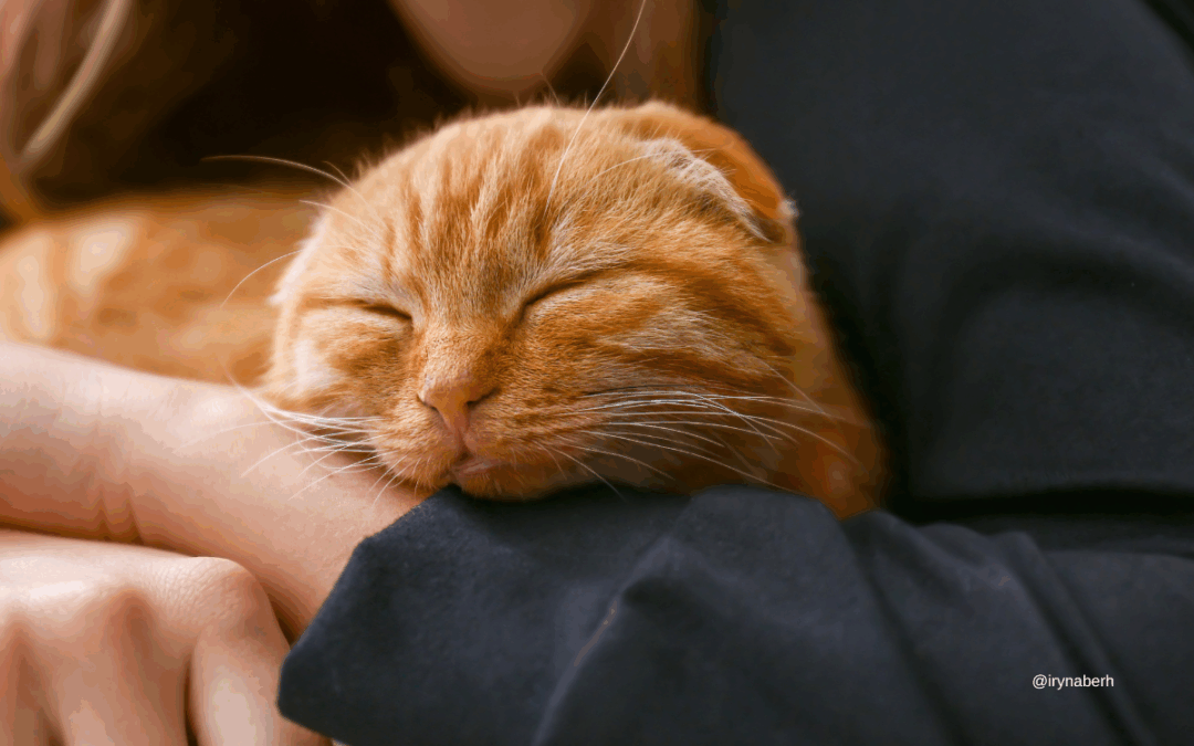 Тупые действия, которые спасают