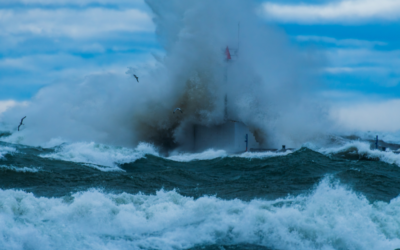 Парадокс боли